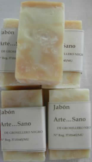 Grosellero